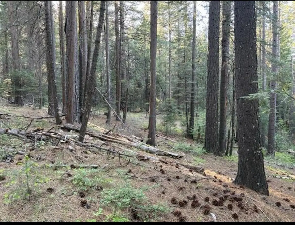 30115 N Bloomfield-graniteville Road, Nevada City, CA 95959 - #1