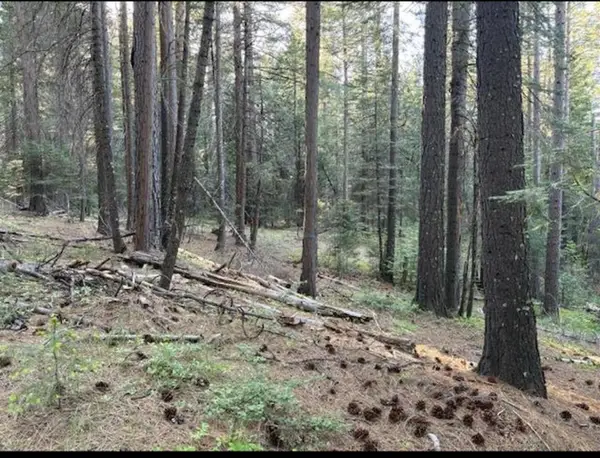 30115 N Bloomfield-graniteville Road, Nevada City, CA 95959