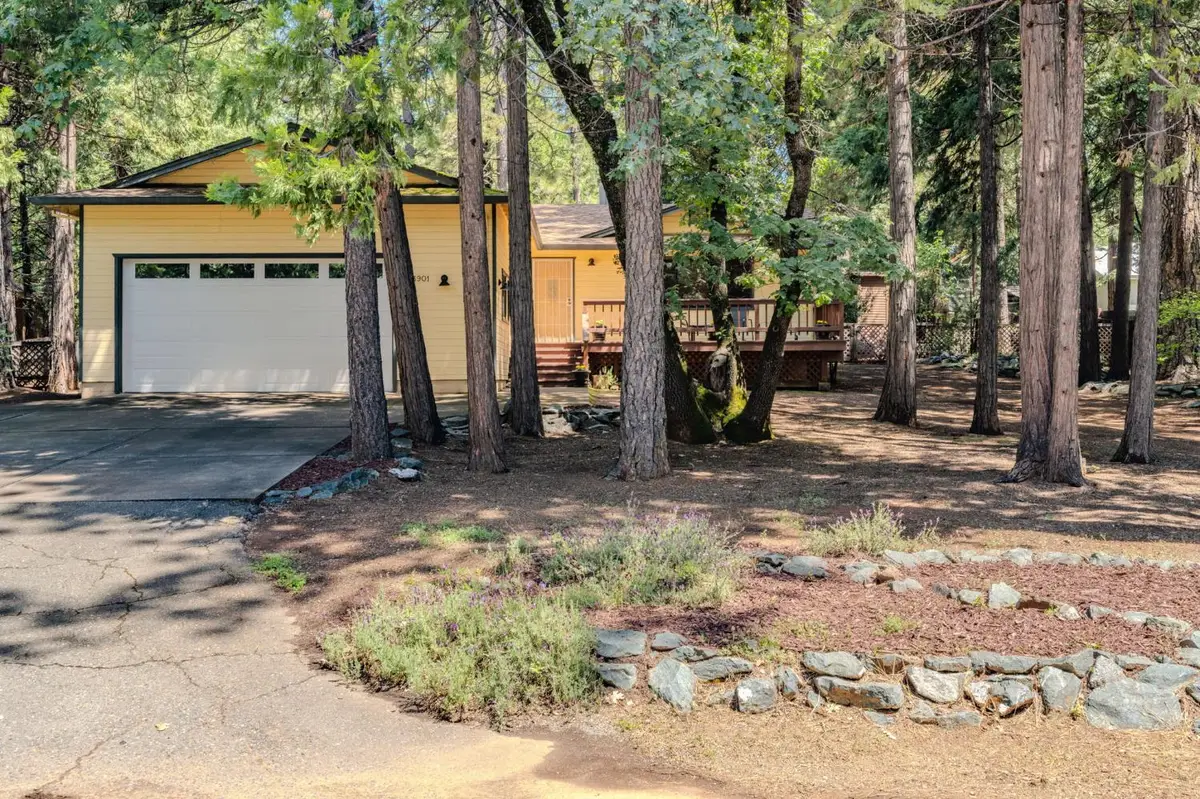 23901 Carson Drive, Pioneer, CA 95666 - #1