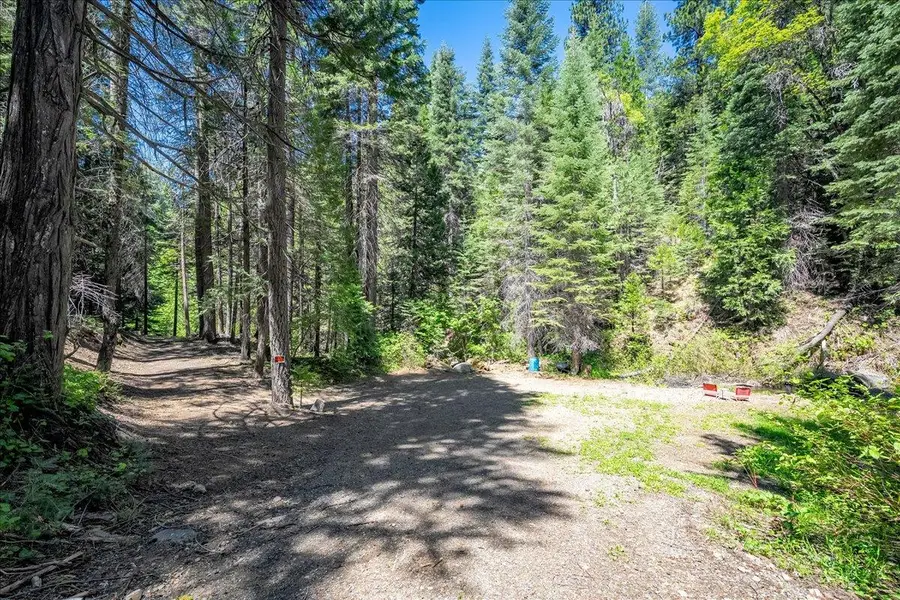 580 Blue Canyon Road, Alta, CA 95701 - #3