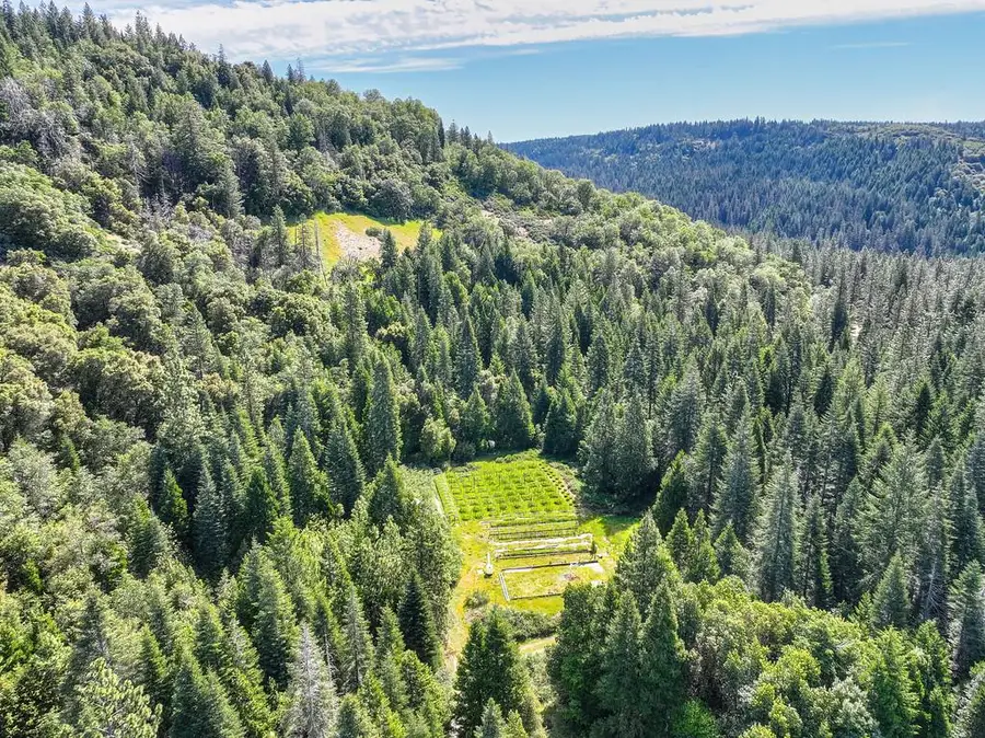 1535 Derbec Road, Nevada City, CA 95959 - #2