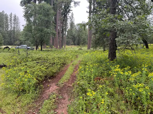 0 Campo Flores Lane, West Point, CA 95225