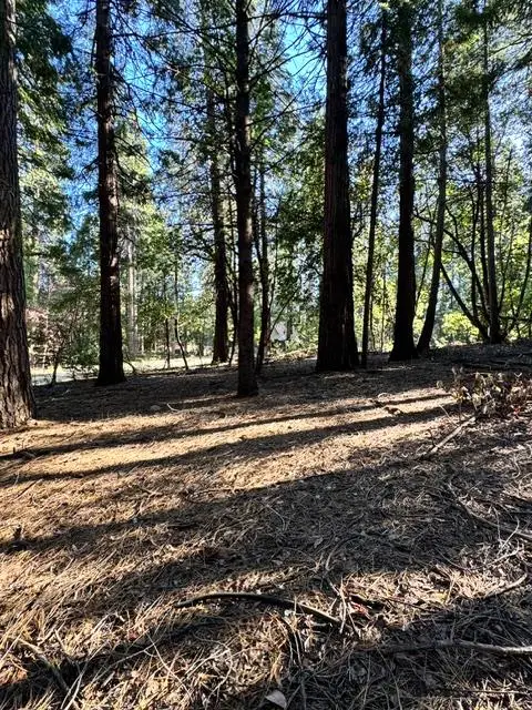 27059 Antelope Drive, Pioneer, CA 95666 - #1