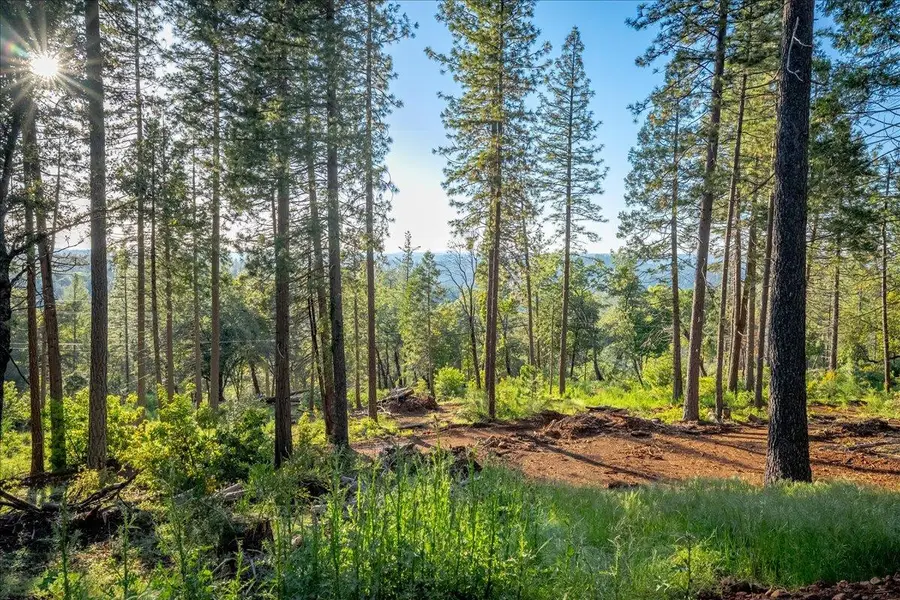 6880 Wentworth Springs Road, Georgetown, CA 95634 - #2