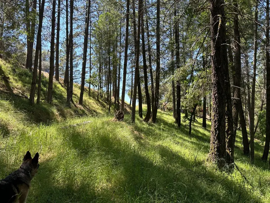 2663 Sweetwater Trail Trail, Cool, CA 95614 - #2
