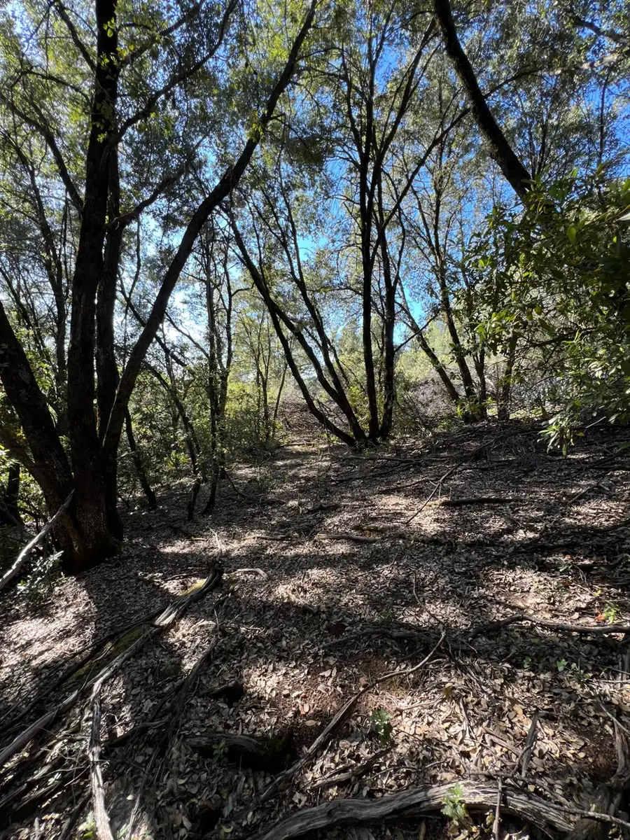 12550 Big Hill Road, Sonora, CA 95370 - #2