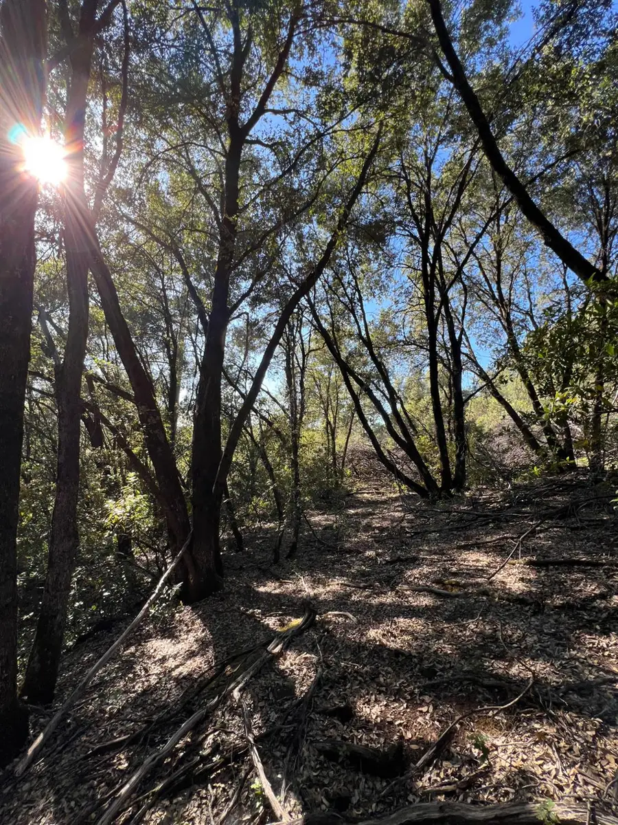 12550 Big Hill Road, Sonora, CA 95370 - #3