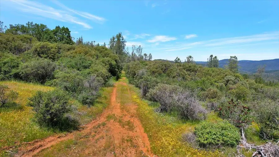 12934 Wild Acres Way, Oregon House, CA 95962 - #3