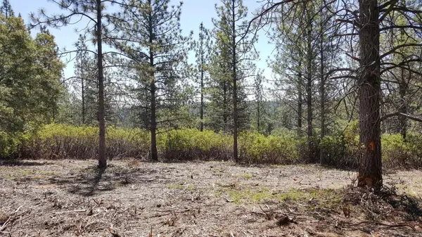 0 Deardorff Road, Glencoe, CA 95232