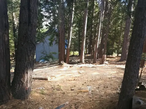41100 Putt Road, Alta, CA 95701
