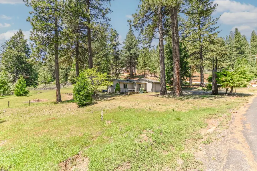 20093 Manzanita Way, Pioneer, CA 95666 - #2