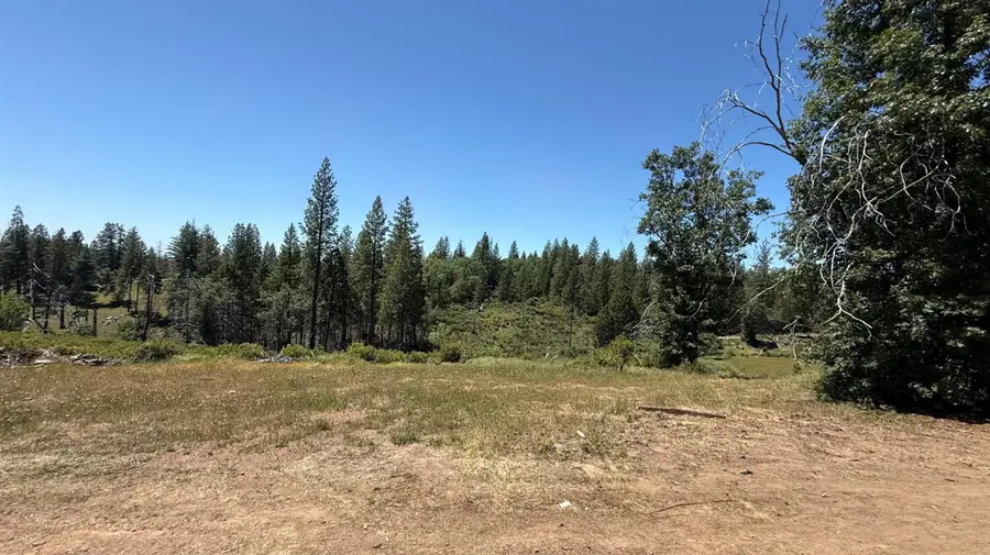 371 Blossom Lane, Mokelumne Hill, CA 95245 - #2