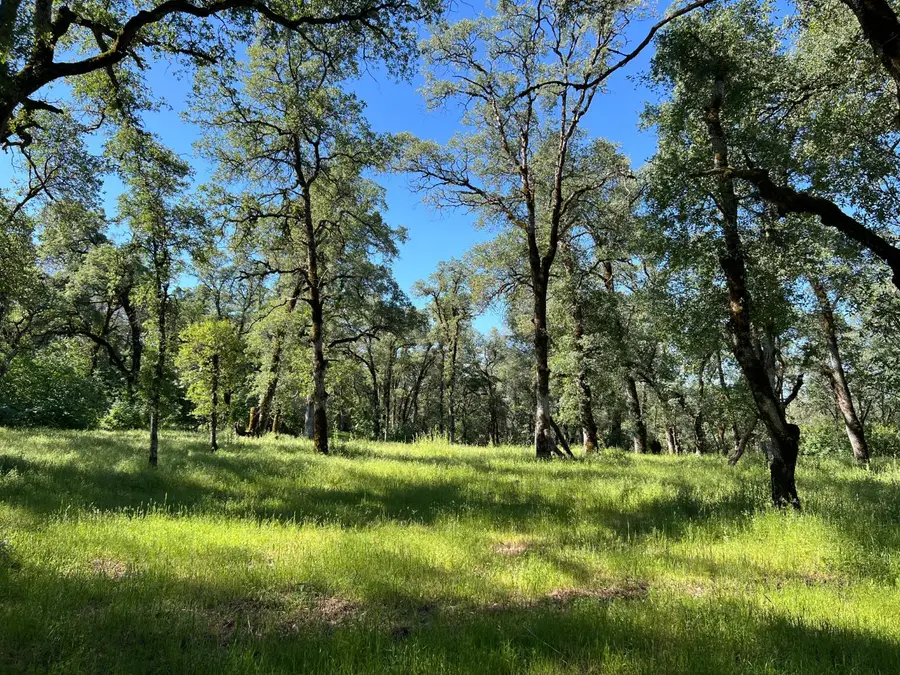 0 Missing Lode Drive, Greenwood, CA 95635 - #2