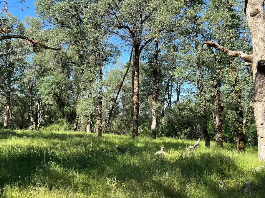0 Missing Lode Drive, Greenwood, CA 95635 - #3