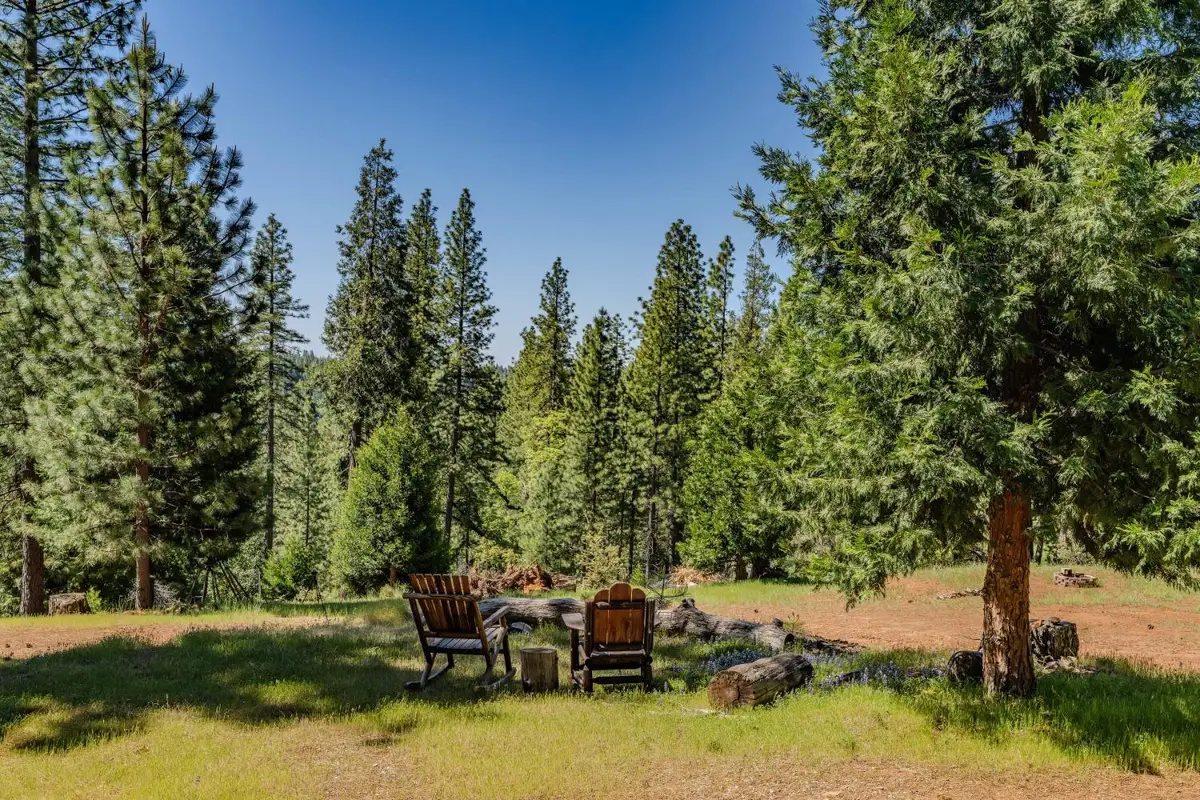 26340 Cedar Avenue, Pioneer, CA 95666 - #1