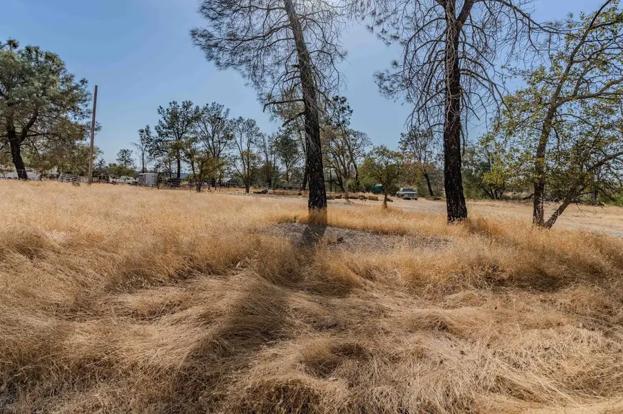 12874 Stedman Ranch Rd, Burson, CA 95225 - #2