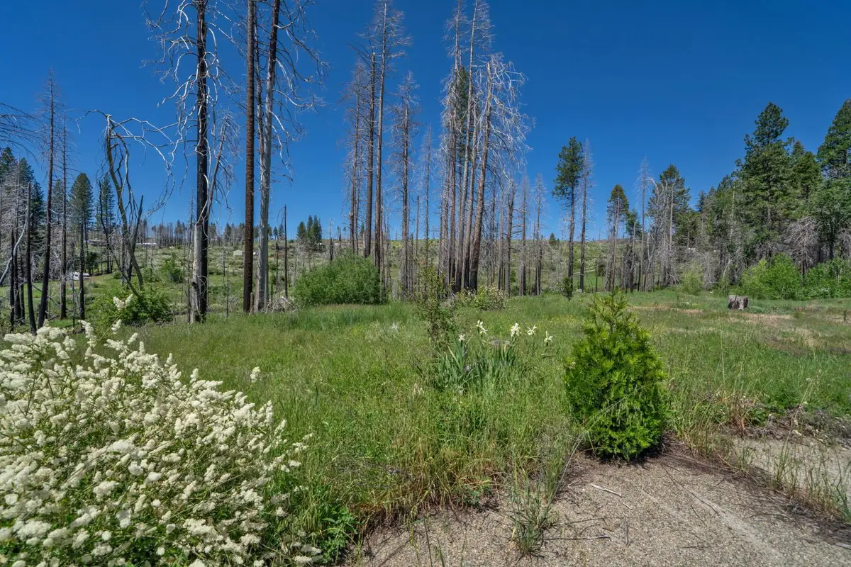 7425 Winding Way, Grizzly Flats, CA 95636 - #1