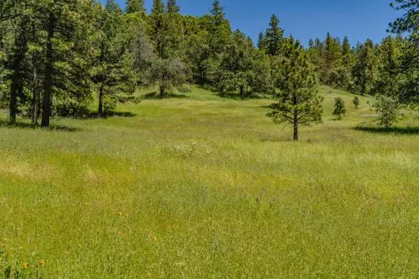 25755 State Highway 88, Pioneer, CA 95666
