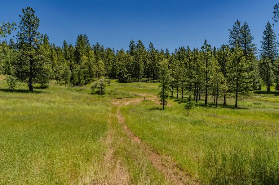 25755 State Highway 88, Pioneer, CA 95666 - #3