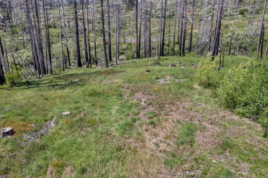 0 Winding Way Court, Grizzly Flats, CA 95636 - #2