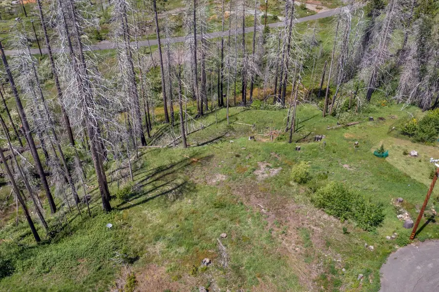 0 Winding Way Court, Grizzly Flats, CA 95636 - #3
