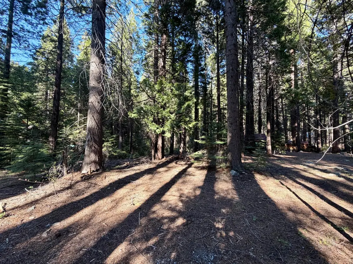 184 Creekside Drive, Camp Connell, CA 95223 - #1