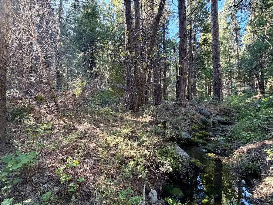 184 Creekside Drive, Camp Connell, CA 95223 - #3