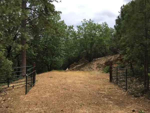0 Robbers Ravine, Colfax, CA 95713