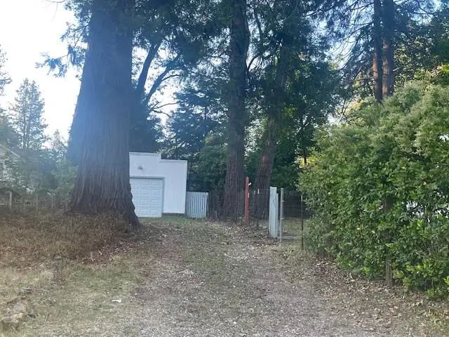 11314 Squirrel Creek Road, Grass Valley, CA 95945 - #3