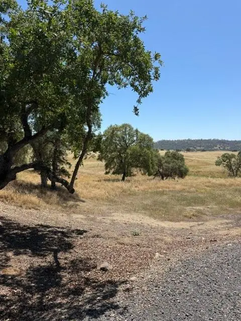 5134 Little John, Copperopolis, CA 95228 - #1