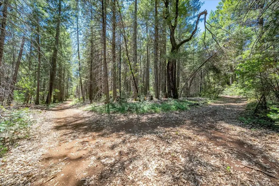 0 Blackhawk, Foresthill, CA 95631 - #2