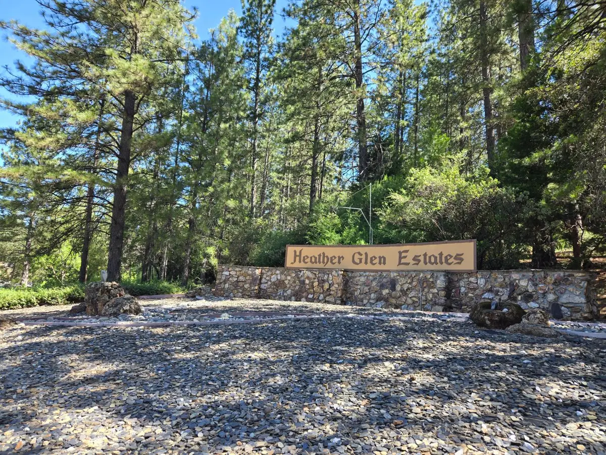 18607 Dunvegan Drive, Applegate, CA 95703 - #1