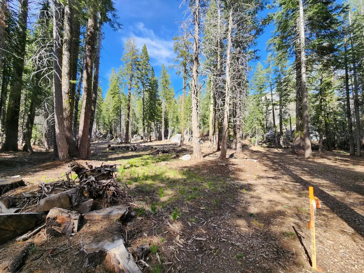 0 Ca State Highway 4, Arnold, CA 95223 - #1
