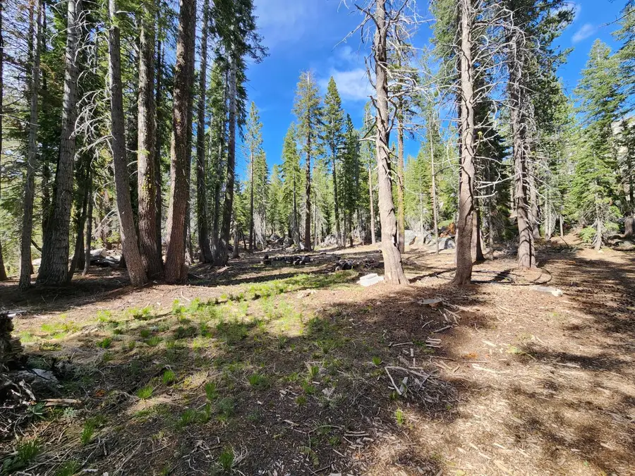 0 Ca State Highway 4, Arnold, CA 95223 - #2