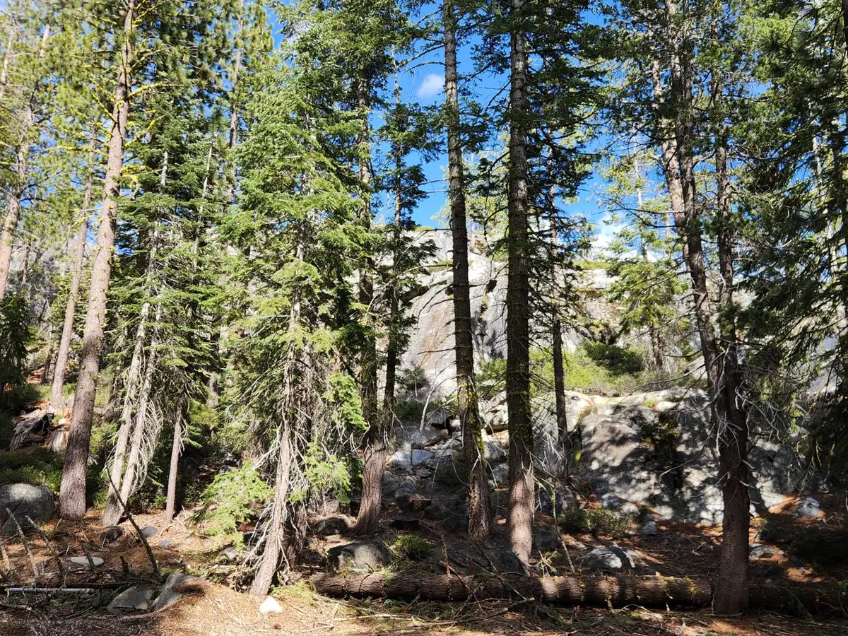 0 State Highway 4, Arnold, CA 95223 - #1