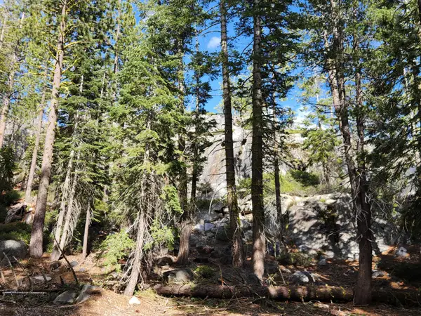 0 State Highway 4, Tamarack, CA 95223