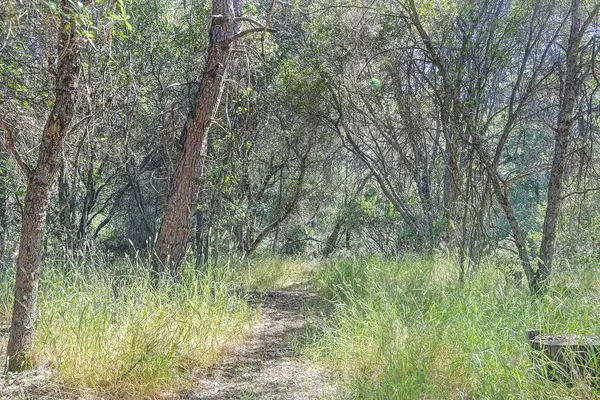 0 Conifer, Auburn, CA 95602