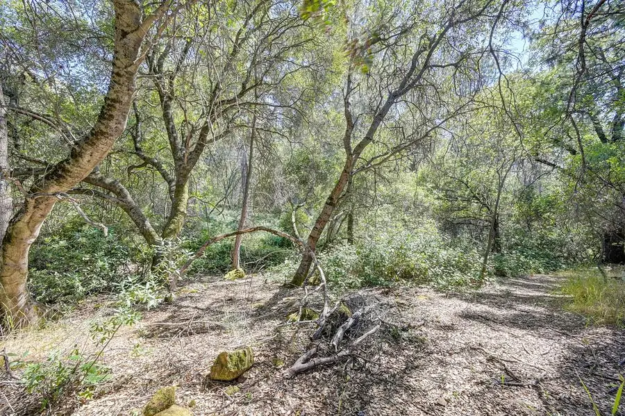 0 Conifer, Auburn, CA 95602 - #3