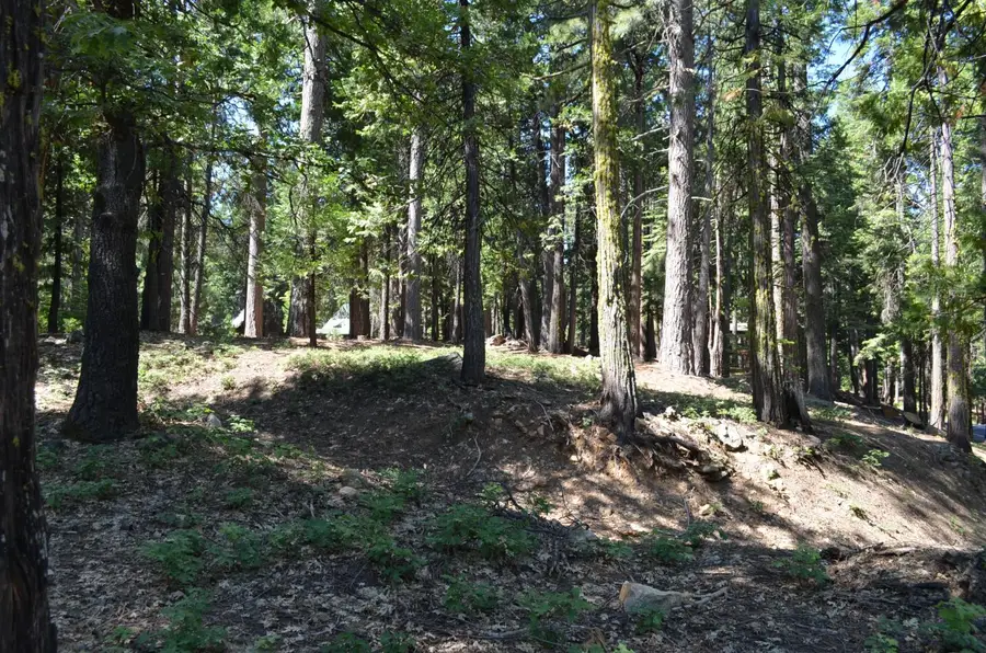 3112 Apache Road, Arnold, CA 95223 - #2