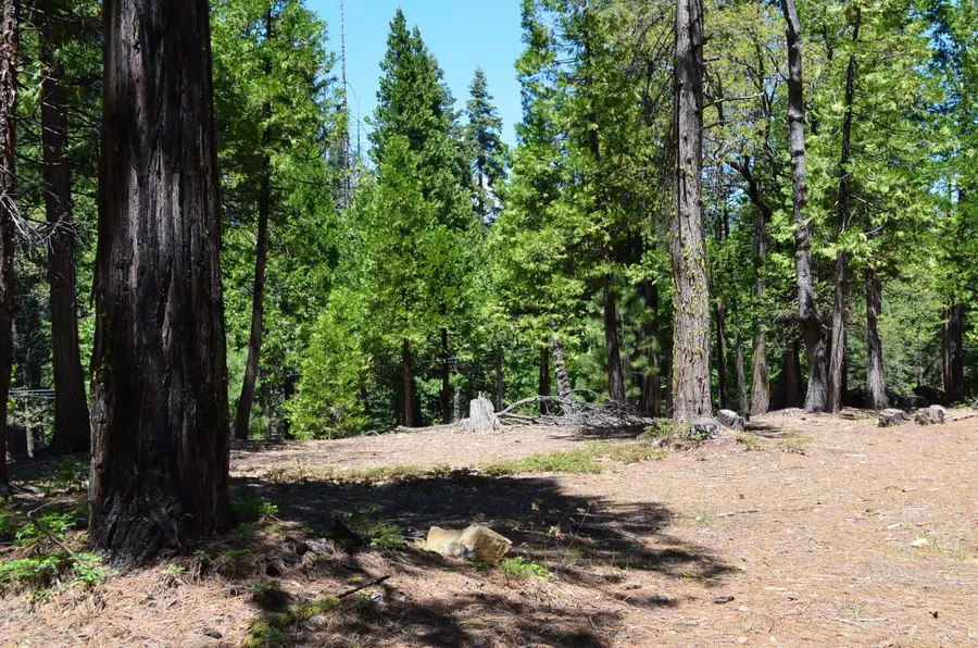 3112 Apache Road, Arnold, CA 95223 - #3