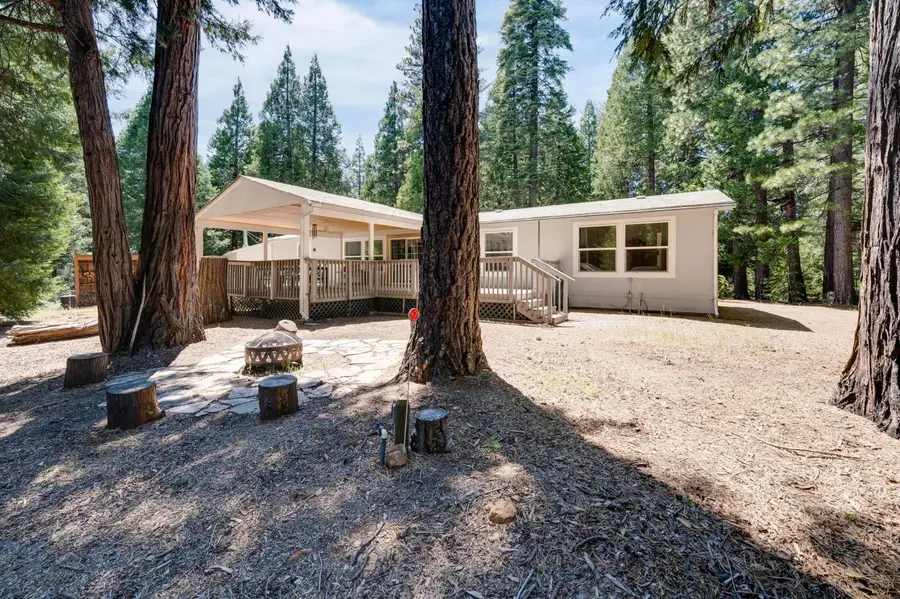 28722 Wood Road, Pioneer, CA 95666 - #3