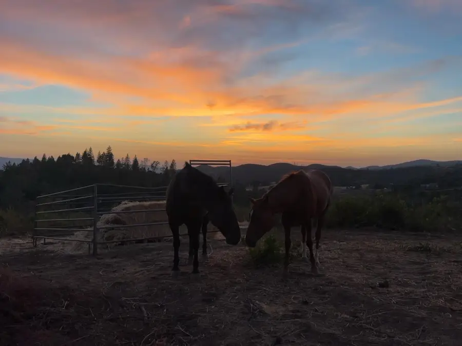 6165 Starlight Lane, Mountain Ranch, CA 95246 - #2