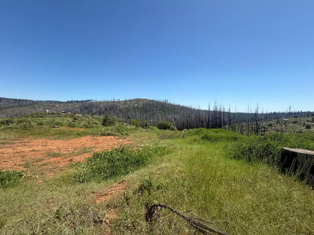 10340 Grizzly Flat Road, Grizzly Flats, CA 95636 - #1