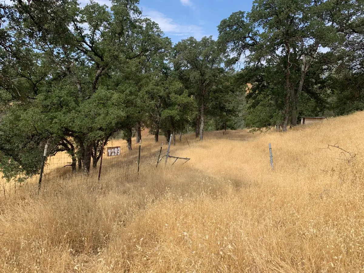 7293 Hawk Court, Corning, CA 96021 - #1