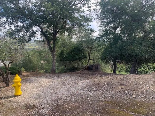 4817 Pueblo Trail, Copperopolis, CA 95228 - #2