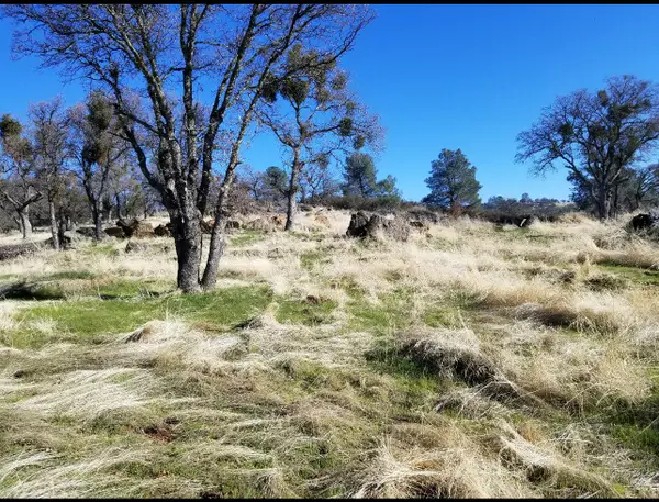 0 Goodell Rd, Valley Springs, CA 95252