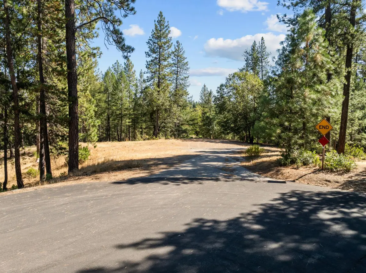 22090 Alton Trail, Foresthill, CA 95631 - #1