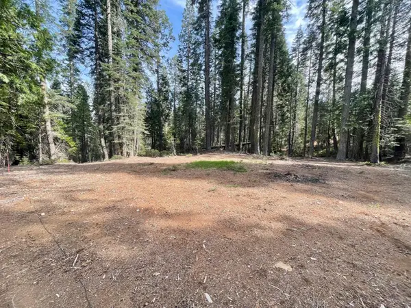 3020 Hidden Court, La Porte, CA 95981