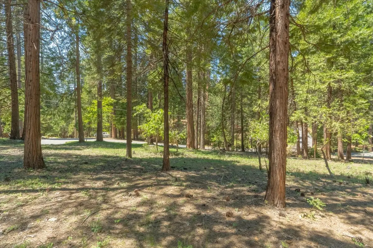 1621 Rawhide Drive, Arnold, CA 95223 - #1
