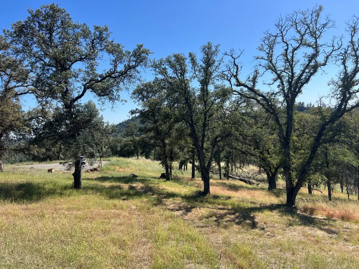 21 Strongbox Court, Browns Valley, CA 95918 - #1